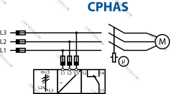 cphas-schema-2.jpg
