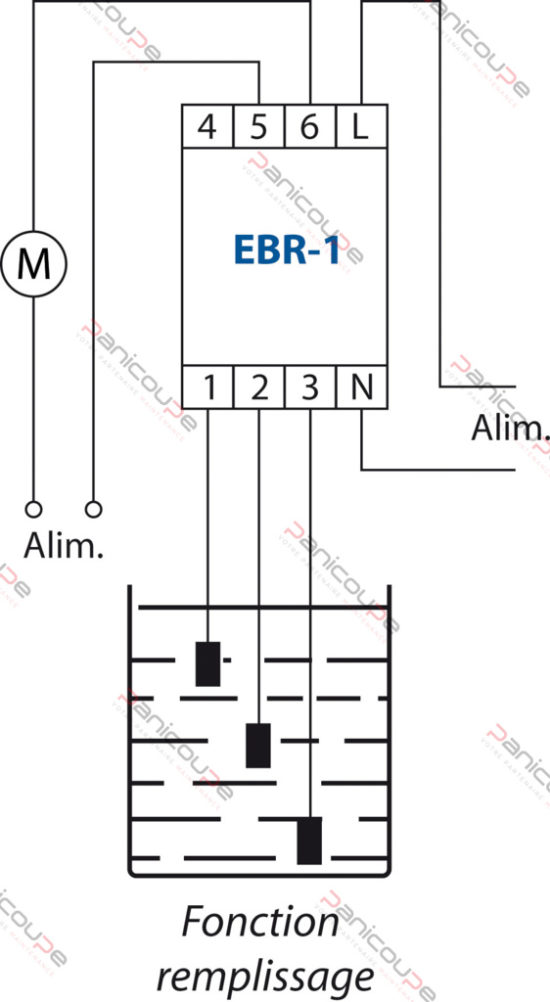ebr-1-schema-2.jpg